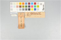 五色鳥藏品圖，第11張
